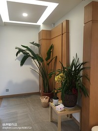 硅藻泥缺点有哪些