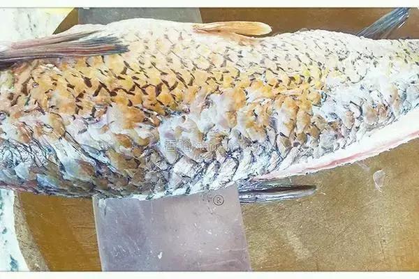 经典火锅食谱_清油和牛油哪个好吃_火锅做法大全